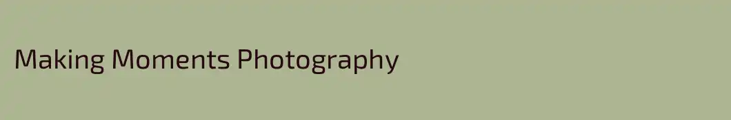 Making Moments Photography